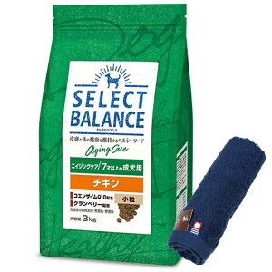 yzZNgoX GCWOPA `L  7ˈȏ̐p 3kgyzIWinh^IZbgzy^IJ[ lCr[z