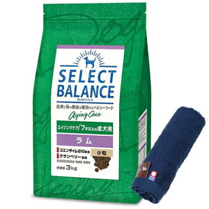 yzZNgoX GCWOPA   7ˈȏ̐p 3kgyzIWinh^IZbgzy^IJ[ lCr[z