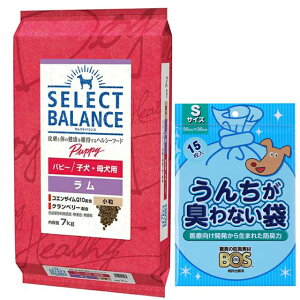 yzZNgoX ps[   qEꌢp 7kgyzIWiZbgzyBOS 񂿂LȂܕtz