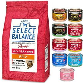 【送料無料】セレクトバランス パピー チキン 小粒 子犬・母犬用 3kg【犬想いオリジナルセット 】【デビフ150g缶詰 1缶プレゼント】