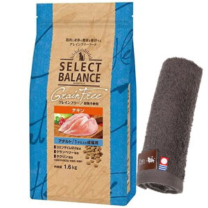 yzZNgoX OCt[ LA_g `L 1ˈȏ̐Lp 1.6kgyzIWinh^Iv[gzy^IJ[ Jz