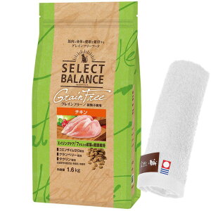 yzZNgoX OCt[ LGCWOPA `L 7ˈȏ̐Lp 1.6kgyzIWinh^Iv[gzy^IJ[ zCgz