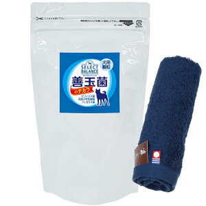 yzPʋۂ̃`J p  300g ynh^Iv[gzy^IJ[ lCr[z