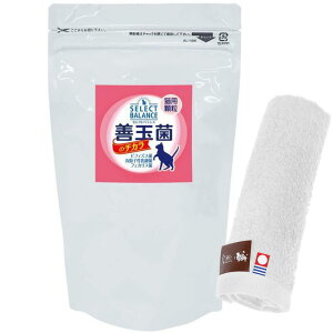 yzPʋۂ̃`J Lp  300g ynh^Iv[gzy^IJ[ zCgz
