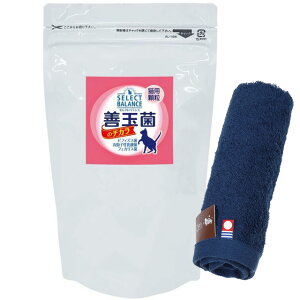 yzPʋۂ̃`J Lp  300g ynh^Iv[gzy^IJ[ lCr[z