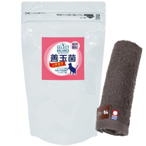 yzPʋۂ̃`J Lp  300g ynh^Iv[gzy^IJ[ Jz