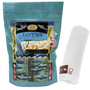 yzLOTUS [^X OCt[ tBbVVs  2.27kg yzIWinh^Iv[gzy^IJ[ zCgz