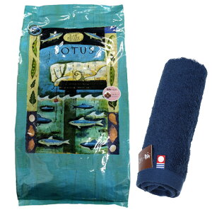 yzLOTUS [^X OCt[ tBbVVs  5kgyzIWinh^Iv[gzy^IJ[ lCr[z