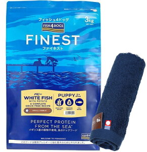 yztBbV4 hbO ps[ 3kgyzIWinh^Iv[gzy^IJ[ lCr[z