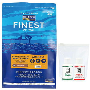 yztBbV4 hbO I[VzCgtBbV  3kgyKizyzIWiZbgzyAPDCVv[{[AbvRfBVi[~jZbgtz