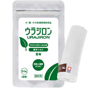 yzEW 8.4g 140mg×60 ynh^Iv[gzy^IJ[ zCgz