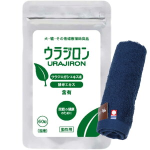 yzEW 8.4g 140mg×60 ynh^Iv[gzy^IJ[ lCr[z