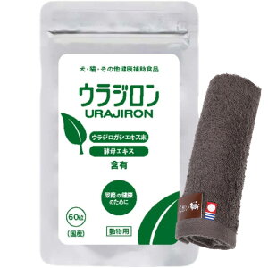 yzEW 8.4g 140mg×60 ynh^Iv[gzy^IJ[ Jz