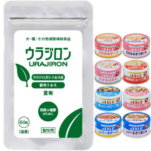 yzEW 8.4g 140mg×60 yfrt85gʋl 1ʃv[gz