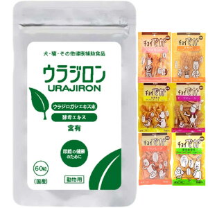 yzEW 8.4g 140mg×60 y`Cv[gz