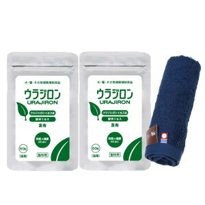 yzEW 8.4g 140mg×60 2Zbgynh^Iv[gzy^IJ[ lCr[z