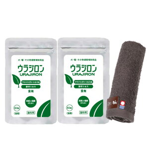 yzEW 8.4g 140mg×60 2Zbgynh^Iv[gzy^IJ[ Jz