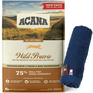 yzyKizAJi ChvC[Lbg 4.5kg yzIWinh^IZbgzy^IJ[ lCr[z