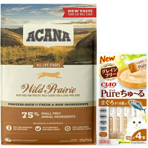 yzyKizAJi ChvC[Lbg 4.5kg yzIWi`[tZbgz