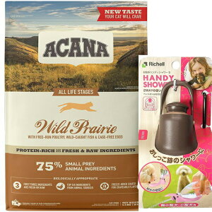 yzyKizAJi ChvC[Lbg 4.5kg yUnfBV[ STCY _[NuEtz