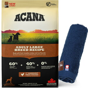 yzyKizAJi A_g[Wu[hVs 11.4kg yzIWinh^IZbgzy^IJ[ lCr[z