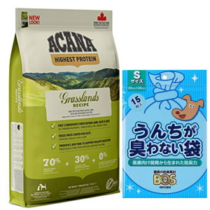 yzyKizAJi OXhhbOVs 6kg yzIWiZbgzyBOS 񂿂LȂܕtz