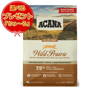 yzyKizAJi ChvC[Lbg 1.8kgIׂv[gy[z