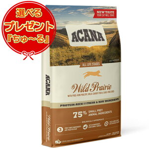 yzyKizAJi ChvC[Lbg 4.5kg Iׂv[gy[z