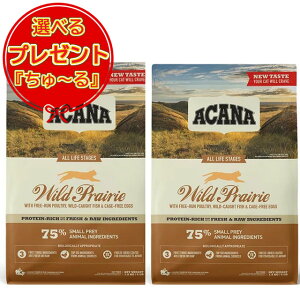 yzyKizAJi ChvC[Lbg 1.8kg2Zbg Iׂv[gy[z