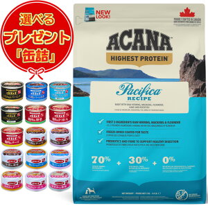 yzyKizAJi pVtBJhbOVs 2kg yʋl܂tz