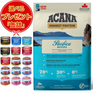 yzyKizAJi pVtBJhbOVs 6kg yʋl܂tz