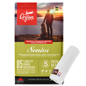 yzyKizIW VjA 11.4kgyzIWinh^Iv[gzy^IJ[ zCgz