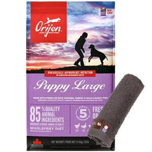 yzyKizIW ps[[W 11.4kg yzIWinh^Iv[gzy^IJ[ Jz