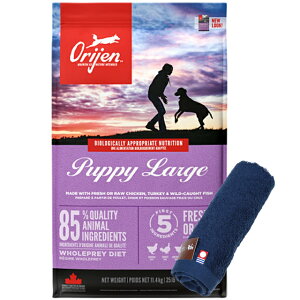 yzyKizIW ps[[W 11.4kg yzIWinh^Iv[gzy^IJ[ lCr[z