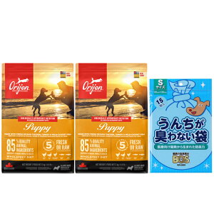 yzyKizIW ps[ 2kg 2Zbg yv[g BOS񂿂LȂܕtz