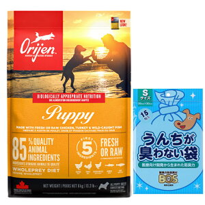 yzyKizIW ps[ 6kg yv[g BOS񂿂LȂܕtz