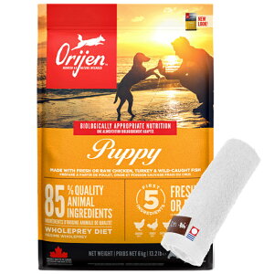 yzyKizIW ps[ 6kg yzIWinh^Iv[gzy^IJ[ zCgz