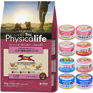 yztBWJCt (Physicalife) qp `L哤 2kgyzIWiZbg zyfrt85gʋl 1ʃv[gz