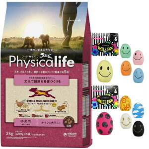 yztBWJCt (Physicalife) qp `L哤 2kgyzIWiZbgzyX}CGbOtz