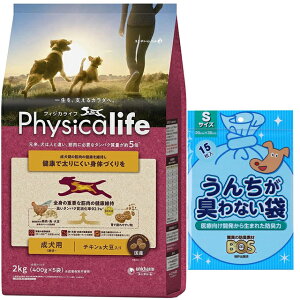 yztBWJCt (Physicalife) p `L哤 2kgyzIWiZbgzyBOS񂿂LȂܕtz