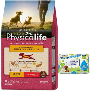 yztBWJCt (Physicalife) p r[t哤2kgyzIWiZbgzyfIN[tz