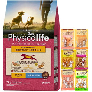 yztBWJCt (Physicalife) p g哤 2kgyzIWiZbgzy`Ctz