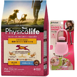 yztBWJCt (Physicalife) p g哤 2kgyzIWiZbgzyUnfBV[ STCY CgsNtz