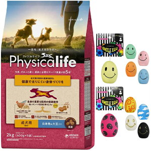 yztBWJCt (Physicalife) p g哤 2kgyzIWiZbgzyX}CGbOtz