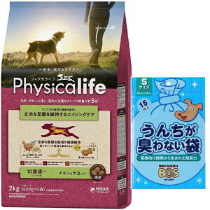 yztBWJCt (Physicalife) VjAp `L哤 2kgyzIWiZbgzyBOS񂿂LȂܕtz