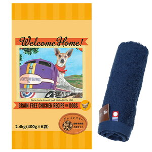 yzEFJz[ OCt[ `LVs 2.4kgyzIWinh^Iv[gzy^IJ[ lCr[z