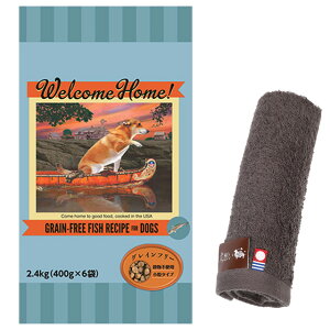 yzEFJz[ OCt[ tBbVVs 2.4kgyzIWinh^Iv[gzy^IJ[ Jz