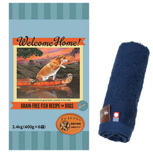 yzEFJz[ OCt[ tBbVVs 2.4kgyzIWinh^Iv[gzy^IJ[ lCr[z