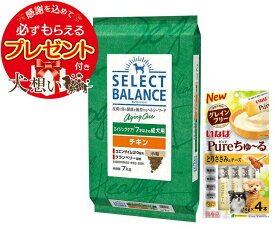 【チュール付】【送料無料】セレクトバランス エイジングケア チキン 小粒 7才以上の成犬用 7kg