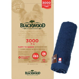 yzubNEbh 3000 2.7kgyzIWinh^Iv[gzy^IJ[ lCr[z